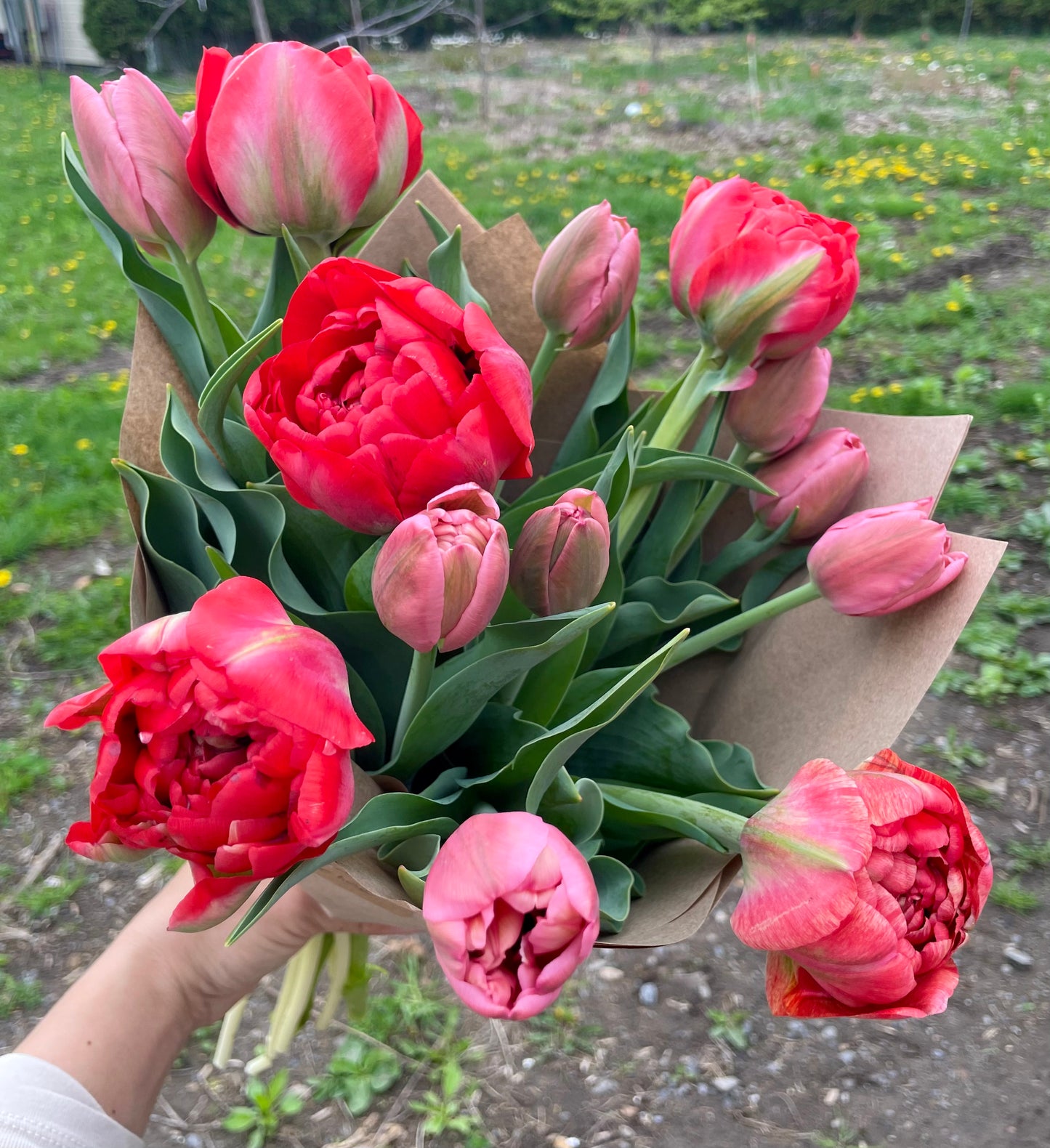 Bouquet de saison