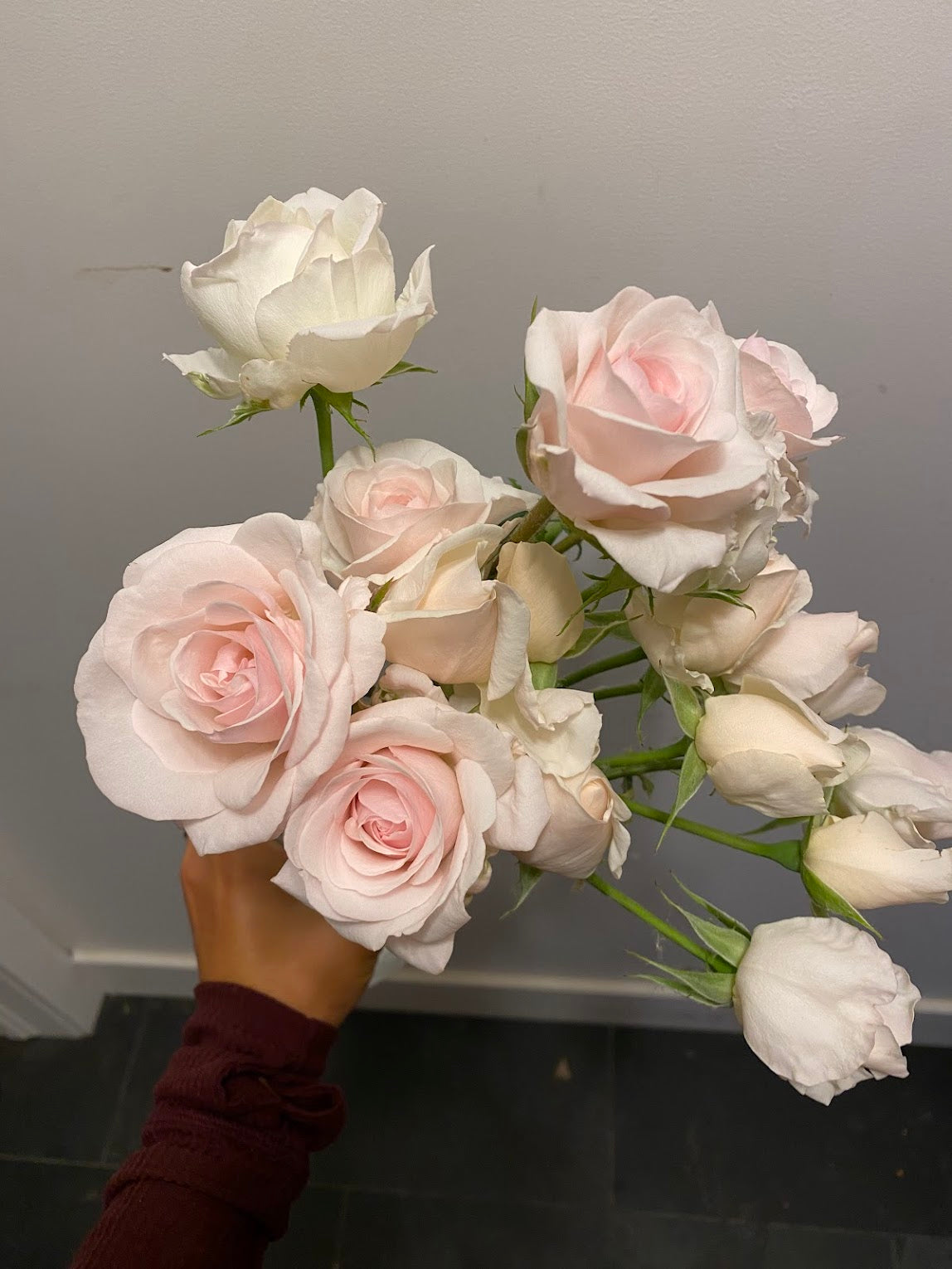 Anniversary blush - Prévente printemps 2026