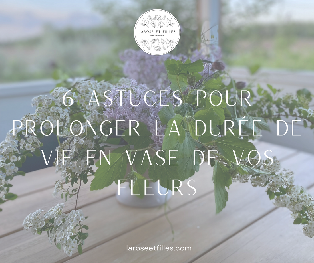 6 astuces pour prolonger la durée de vie en vase de vos fleurs