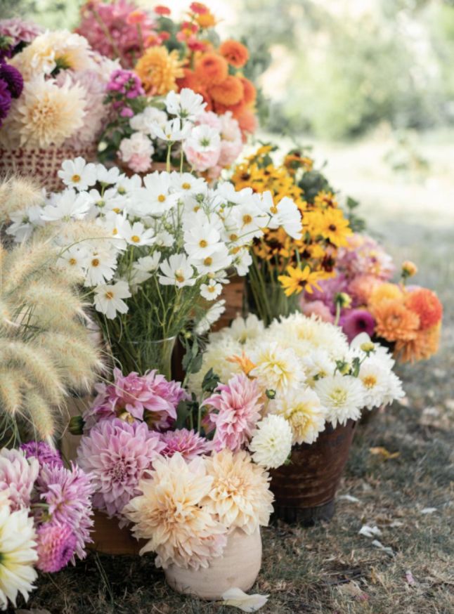 BAR À FLEURS