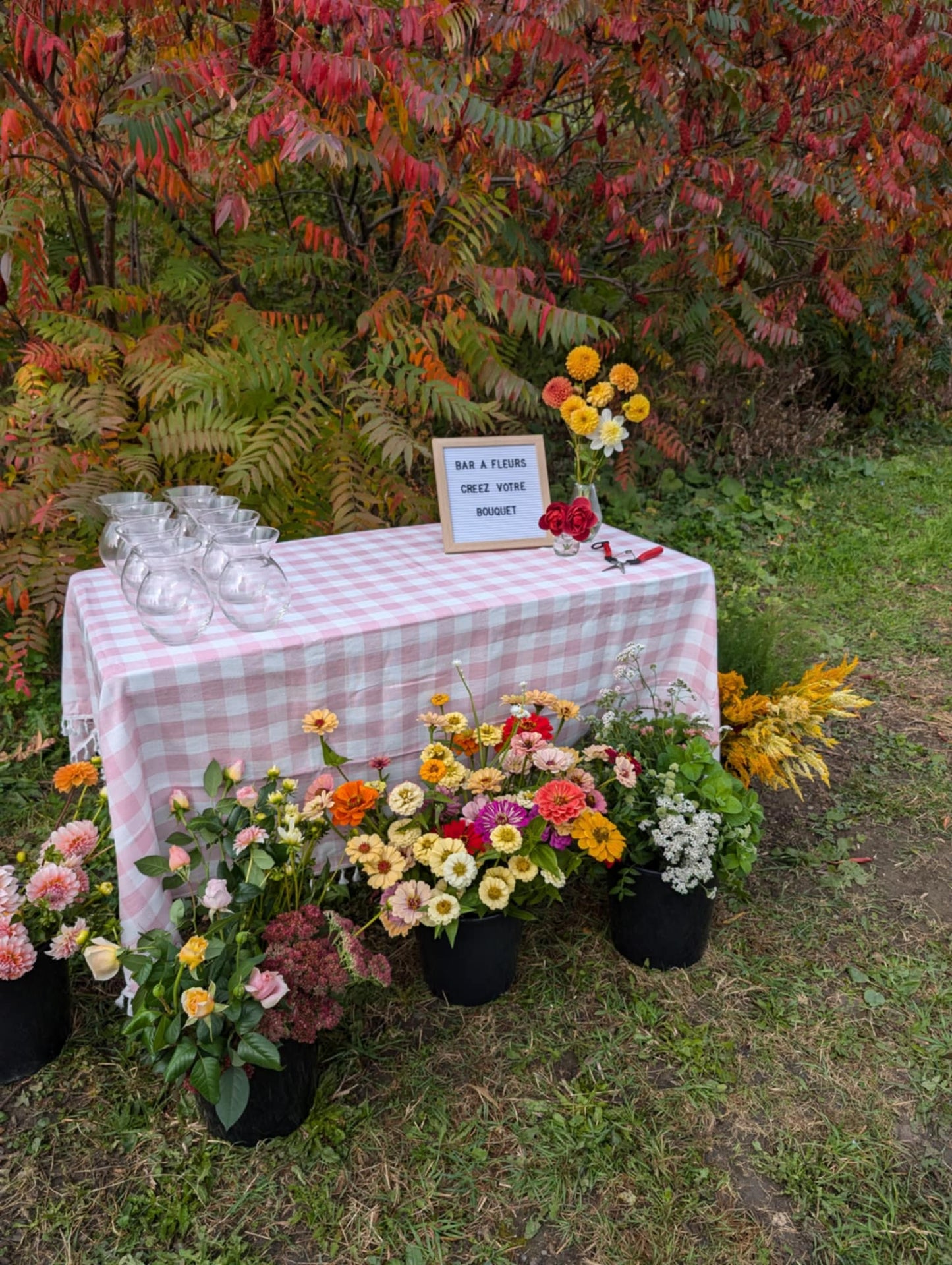 BAR À FLEURS