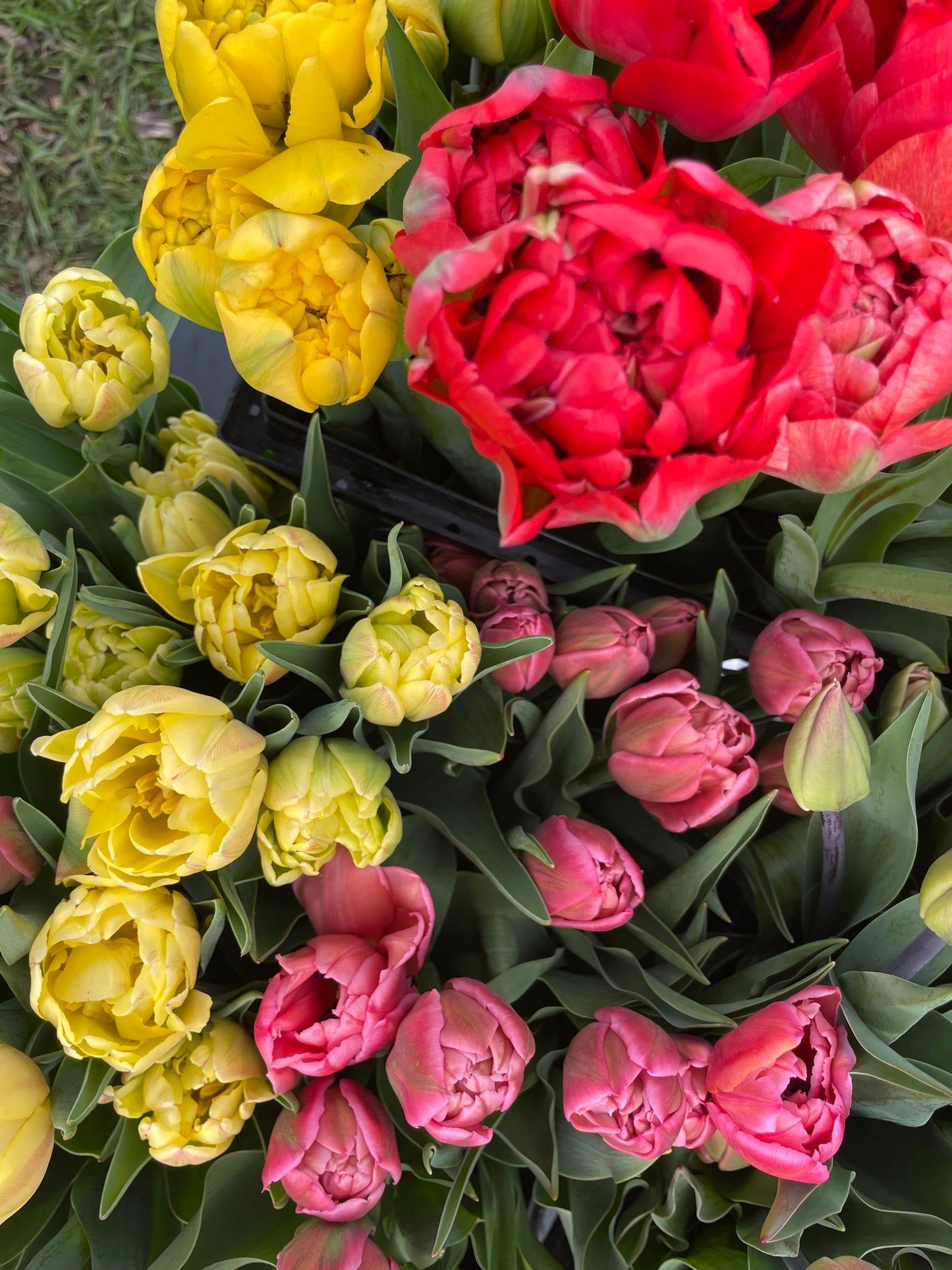 ABONNEMENT FLORAL 2026