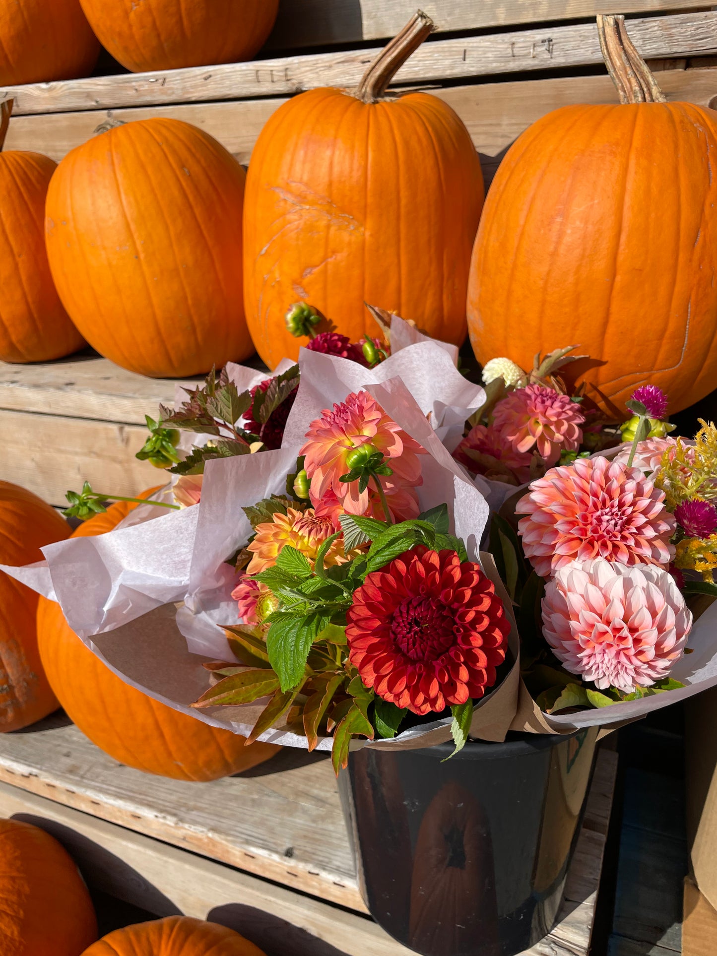 ABONNEMENT FLORAL 2026