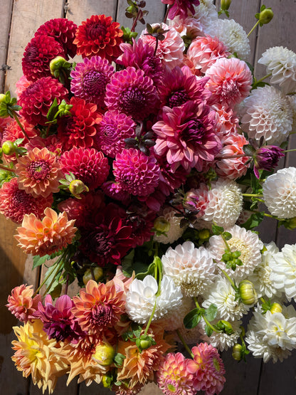 ABONNEMENT FLORAL 2026