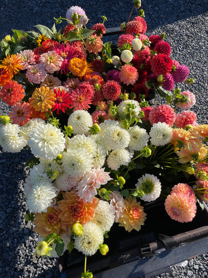 ABONNEMENT FLORAL 2026