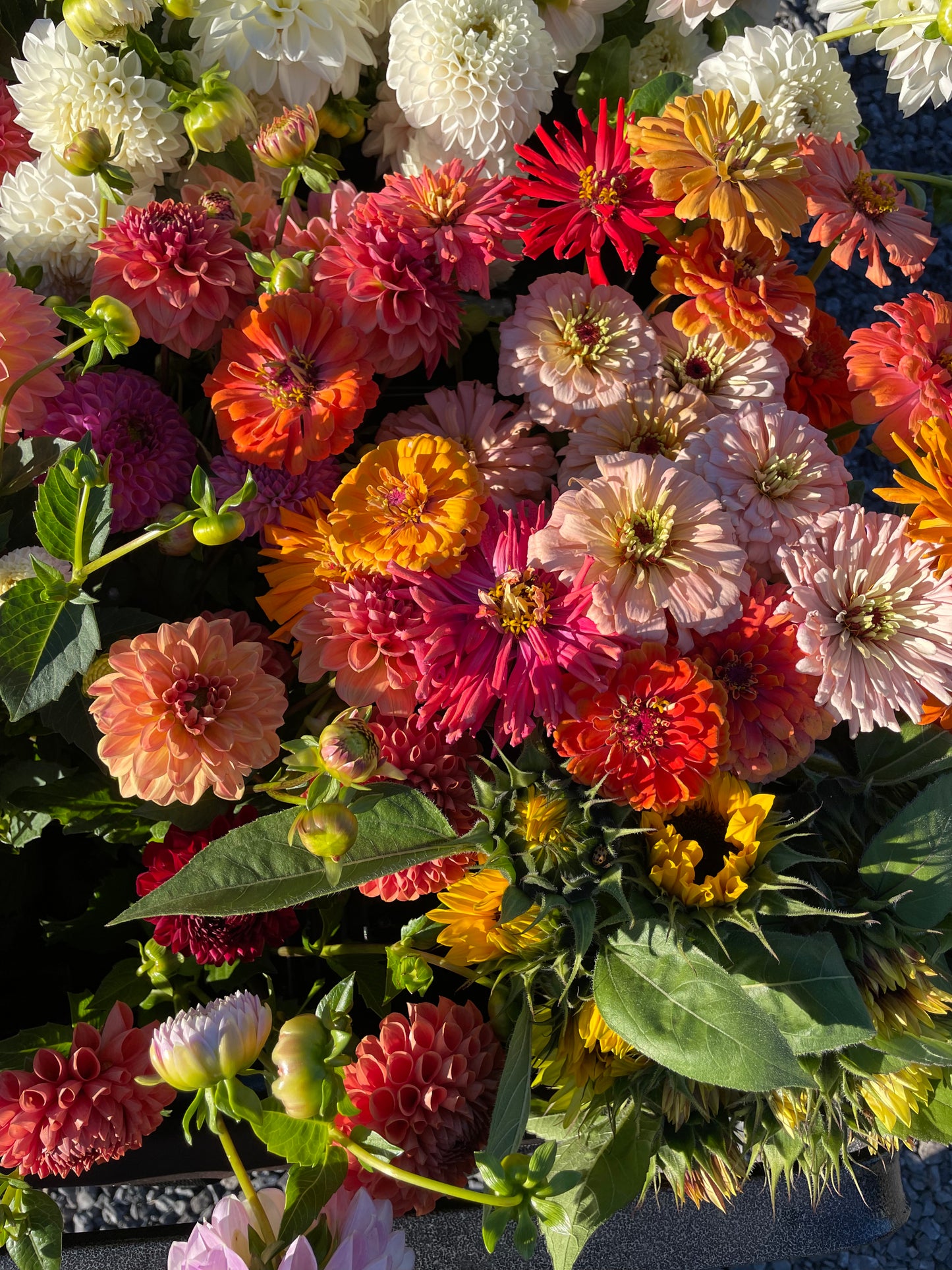 ABONNEMENT FLORAL 2026