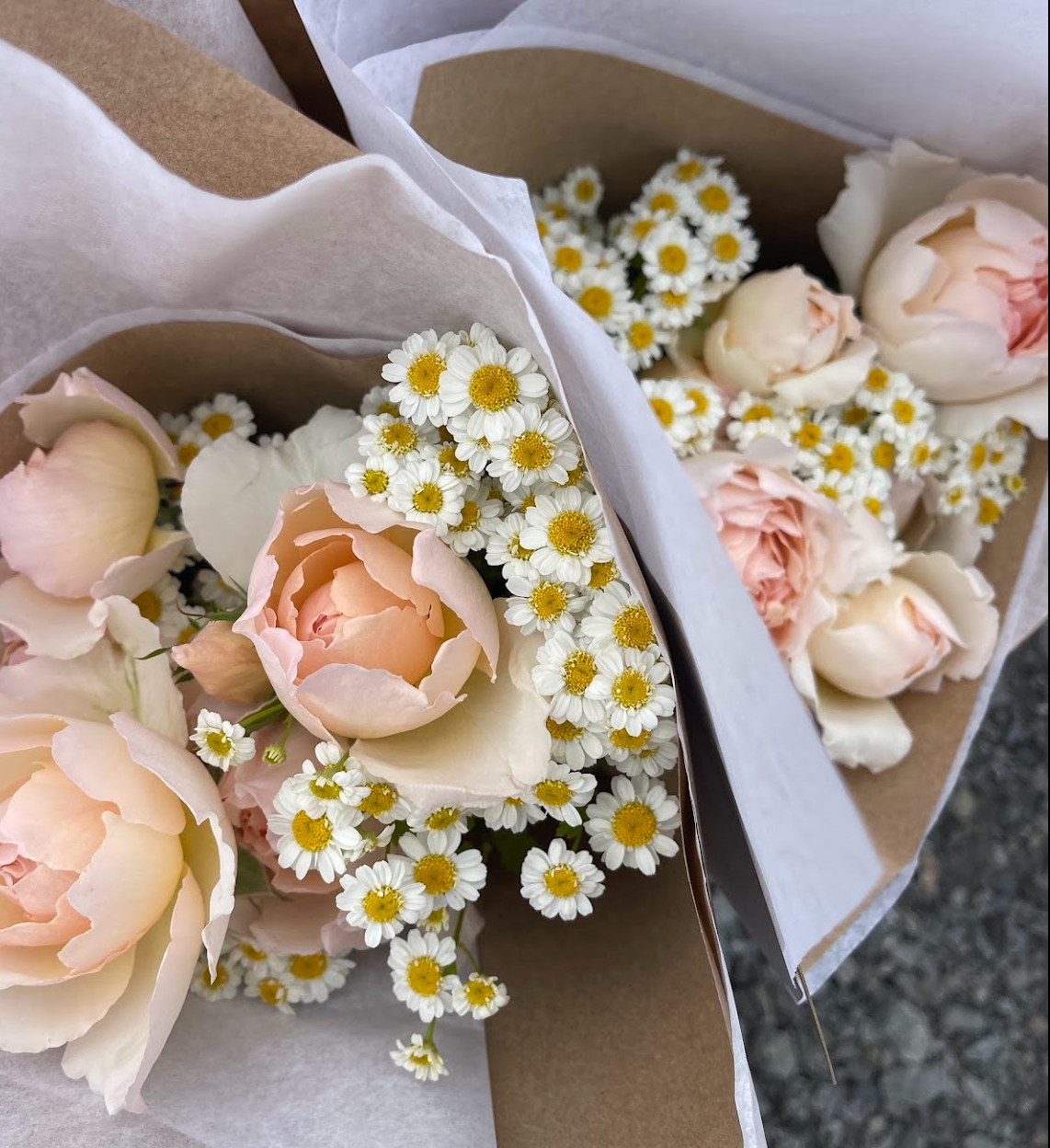 Roses pour fleuristes