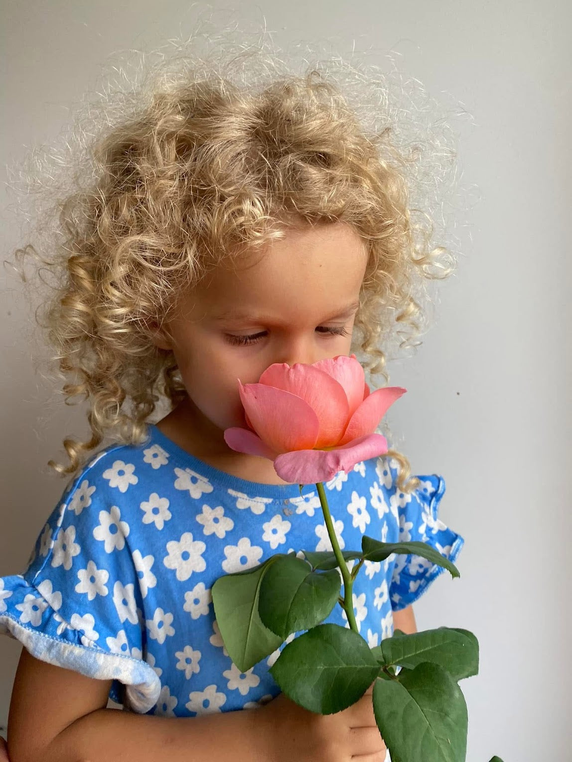 Sweet Mademoiselle - Prévente printemps 2026